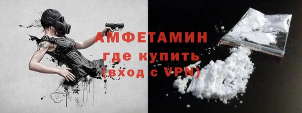 индика Абаза