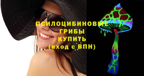 соль ск Алексин