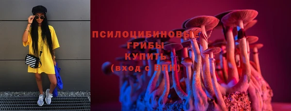 индика Абаза