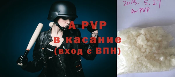 индика Абаза