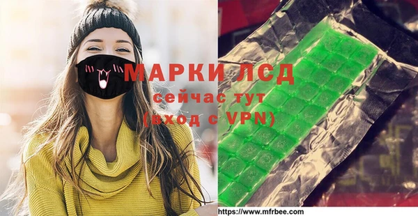 индика Абаза