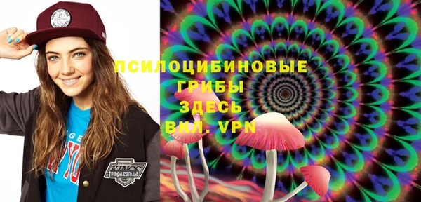 индика Абаза