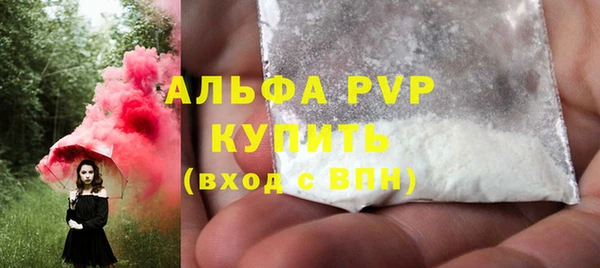 индика Абаза