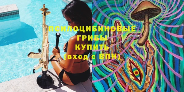 индика Абаза