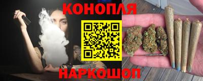 гашик Донской