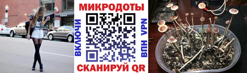 Псилоцибиновые грибы GOLDEN TEACHER  наркошоп  Домодедово 