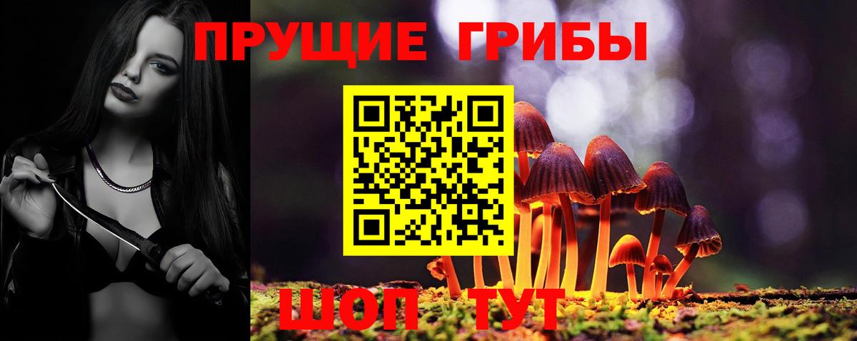 Псилоцибиновые грибы Psilocybine cubensis Домодедово
